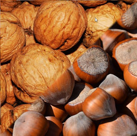 Les Fruits à Coque