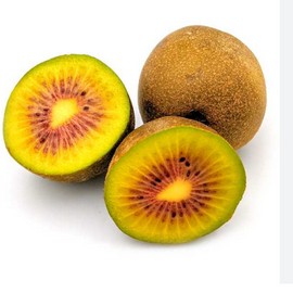 Kiwi rouge 'Exotic Red' **